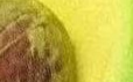 Avocado Seed Superfood Powder Recipe