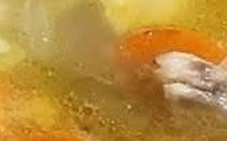 Vermicelli with chicken and lemon