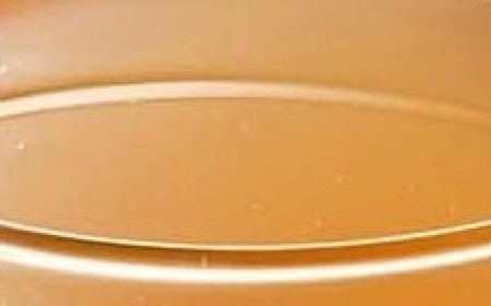 Strongest belly fat burner