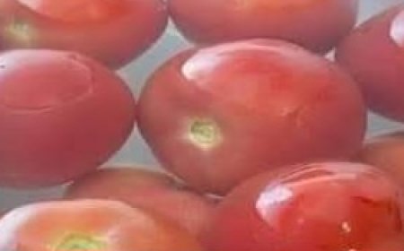 Homemade Canned Tomatoes: A Simple Preservation Guide