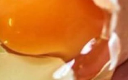 SHOCKING TRUTHS About EGGS And HEART DISEASE That You May Not Know