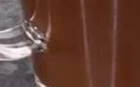 Boost Your Health with This Powerful Natural Remedy: Garlic, Lemon Juice, Grated Ginger, and Honey