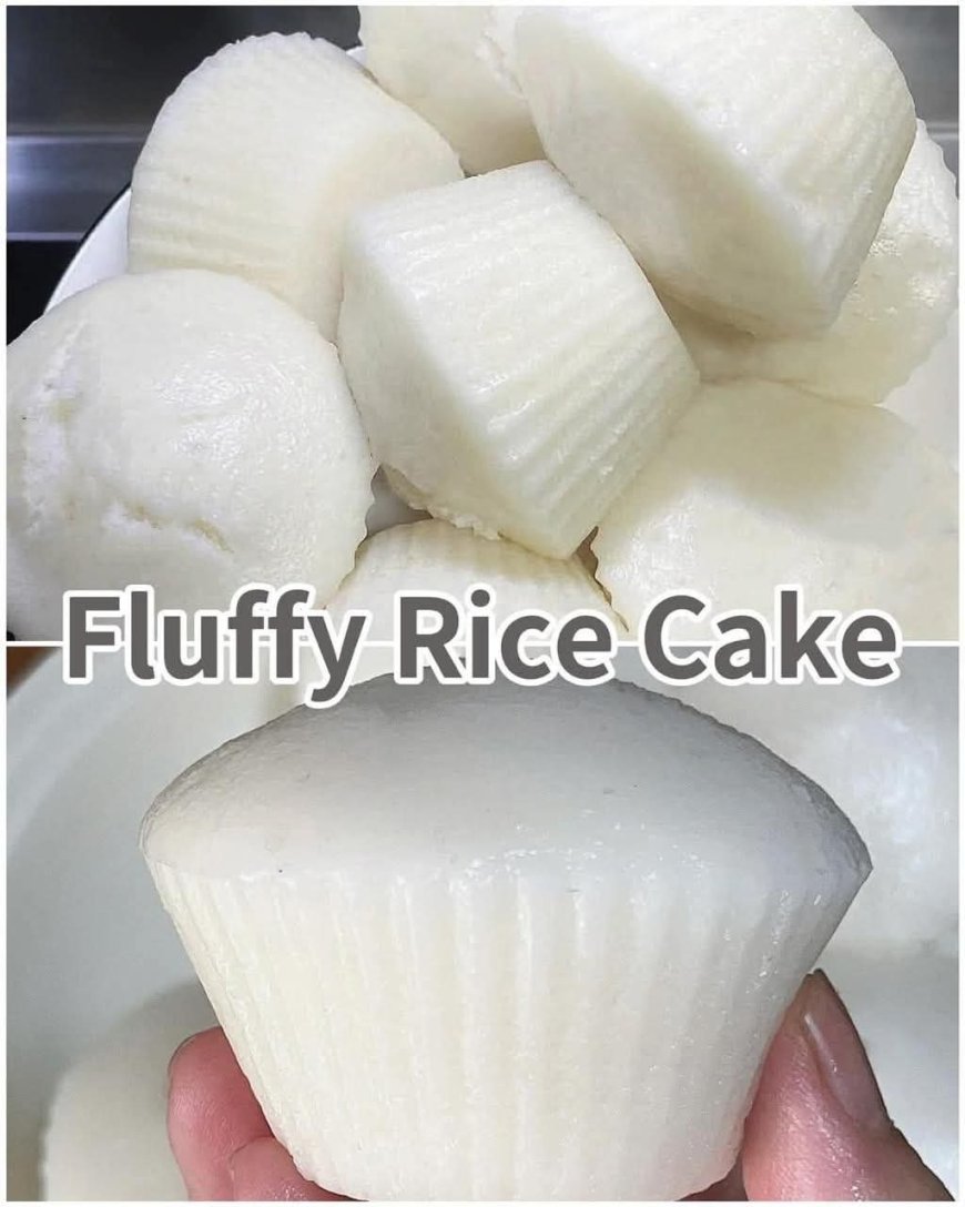 SOFT, FLUFFY RICE CAKE