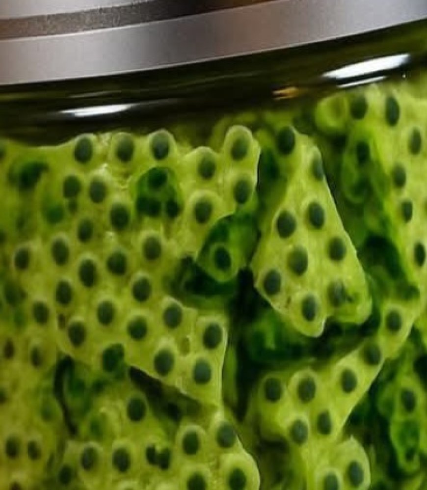 The Secret to Natural Youth: Chia Seed and Aloe Vera Mask