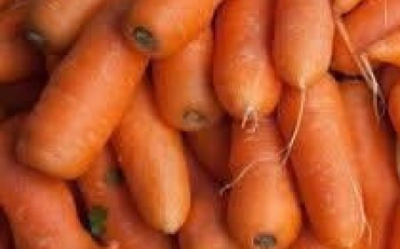 She Couldn’t Walk and Now Runs Like a Little Girl!