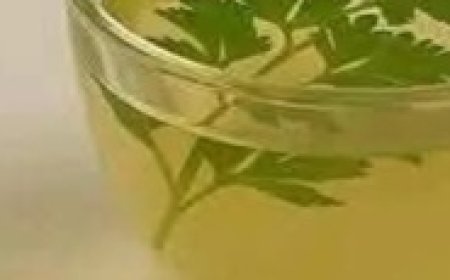 The Power of Parsley Tea: Natural Relief for Swelling in Legs, Ankles, and Feet