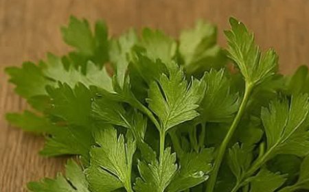 With This Cream, My Grandmother Looks 35 at 65: The Best Collagen Mask from Parsley