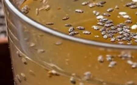 Natural drink to burn fat and lose weight quickly