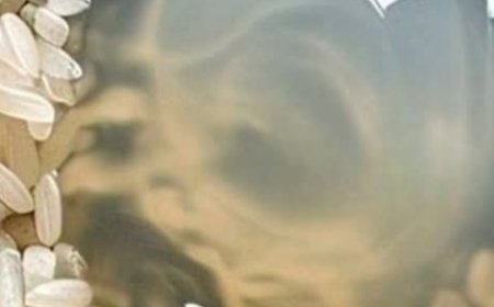 Magic Rice Mask for Skin Rejuvenation and Anti-Aging