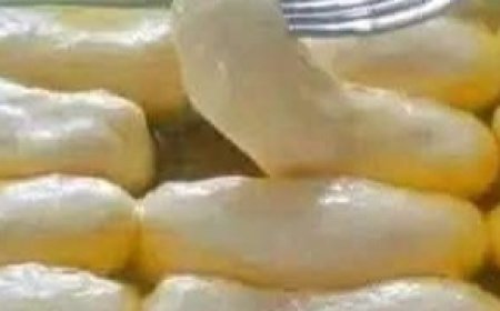 Soft Dinner Rolls rolls