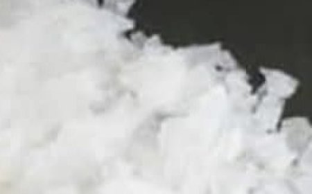 A Single Ingredient to Combat Bone Pain, Diabetes, Anxiety, Depression, and Constipation