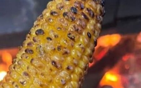11 Important Facts You Should Know Before Eating Grilled Corn