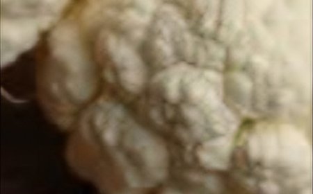 Easy Cauliflower Gratin: The Ultimate "I Don’t Know What to Make" Dinner Savior!