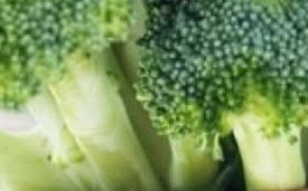 Green Giant: Discover the Hidden Health Powers of Broccoli