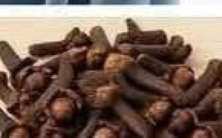 Natural Relief for Joint and Knee Discomfort: The Healing Power of Rosemary, Cloves, and Bay Leaf Tea