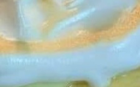 LEMON MERINGUE CHEESECAKE