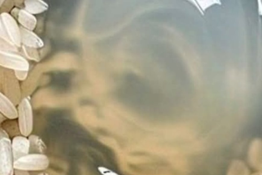 Magic Rice Mask for Skin Rejuvenation and Anti-Aging - Varient - News ...