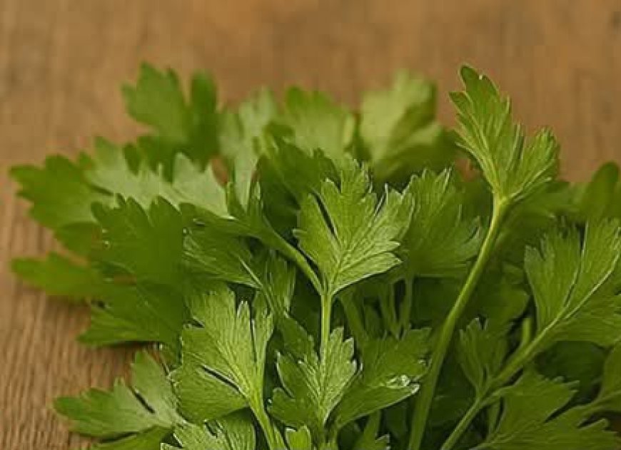 With This Cream, My Grandmother Looks 35 at 65: The Best Collagen Mask from Parsley