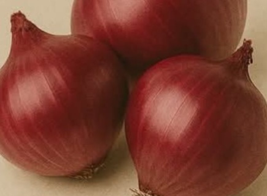 The Magic of Onions for Shedding Belly Fat