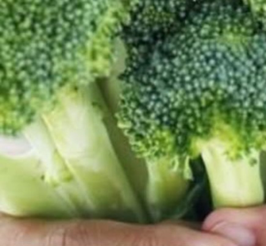 Green Giant: Discover the Hidden Health Powers of Broccoli