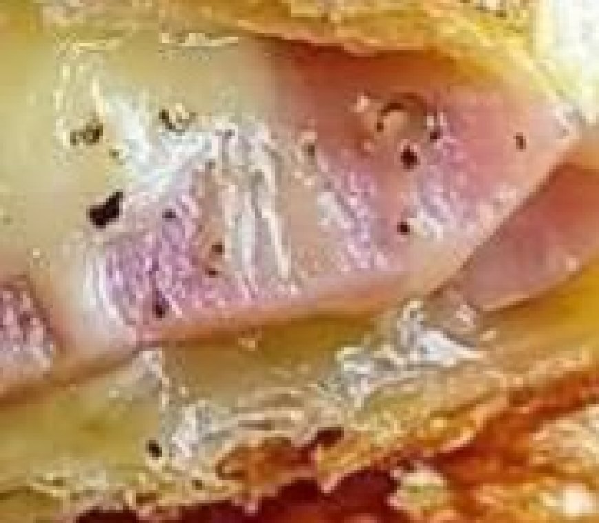 Sausage-Stuffed Puff Pastry Recipe