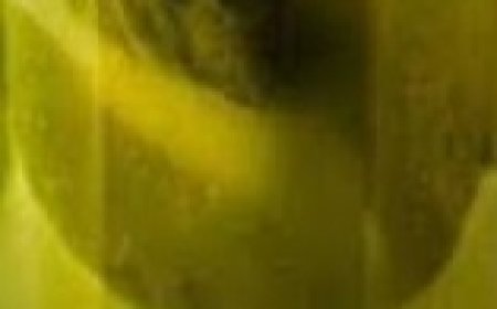 The Right Way to Drink Pickle Juice: Surprising Health Benefits in Every Sip