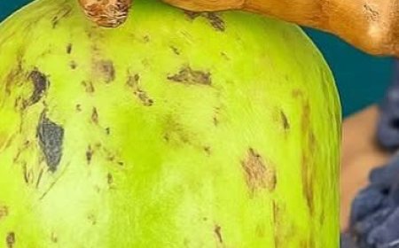 Golden Turmeric Morning Drink for Energy and Immunity