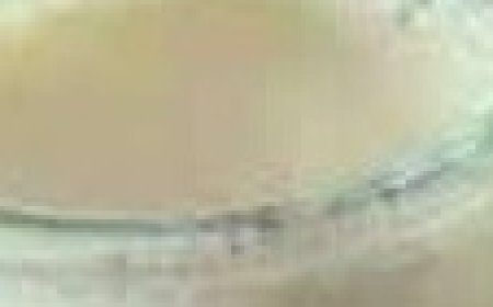 Morning Glow Overnight Oats