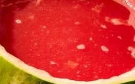 Watermelon Punch and Bowl