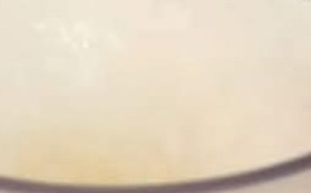 Creamy Blender Dessert: Easy and quick — just blend and chill!