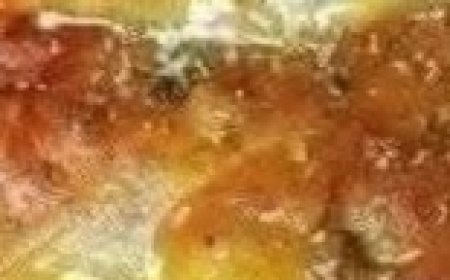 Old Fashioned Stuffed Cabbage Rolls