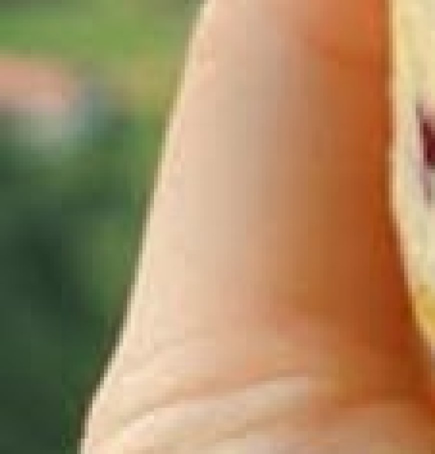 Cranberry Honey Butter with Orange Zest