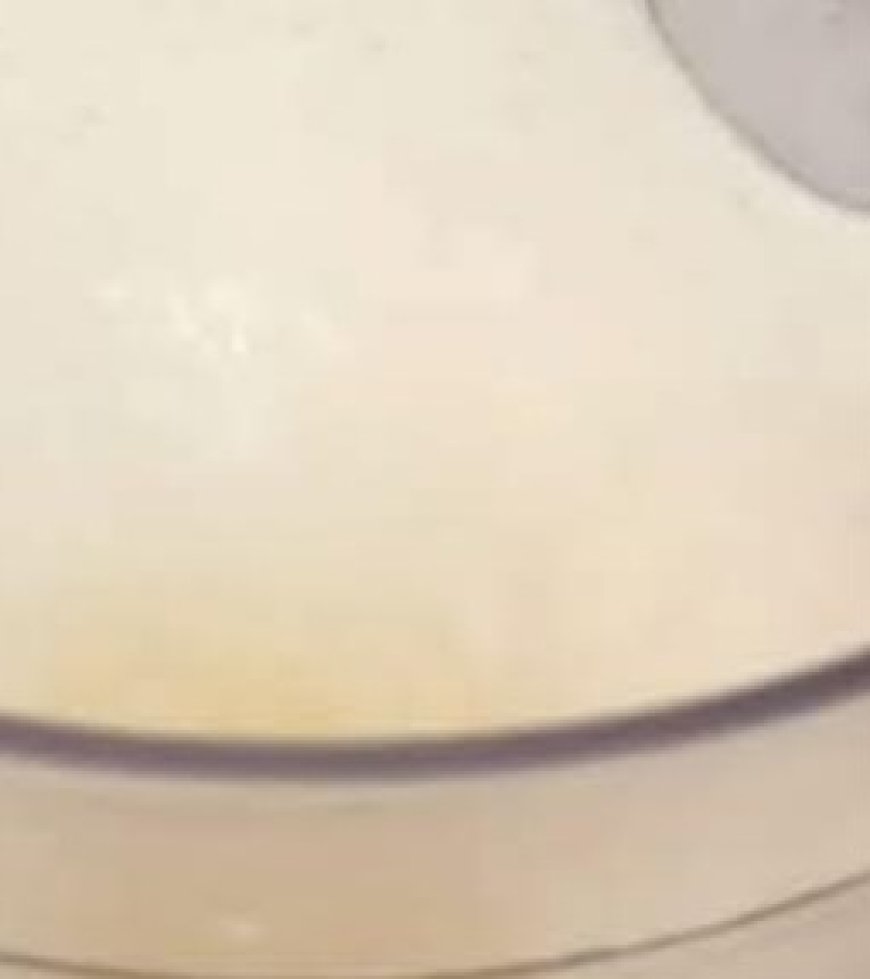 Creamy Blender Dessert: Easy and quick — just blend and chill!