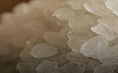 The Superfood That Fights Inflammation, Boosts Immunity, and Protects Your Heart