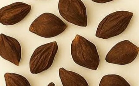 Powerful Herbal Elixir for Protection, Energy, and Inner Cleansing