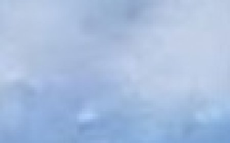 What Do You See: A Fish or a Plane?