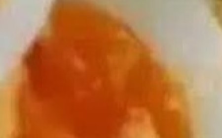 How I Lost Weight with the Egg Diet – My Experience