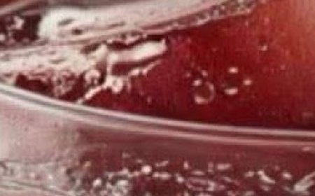 The Truth Behind Dropping 5.5 kg (12 Pounds) in 3 Days — and Why It Can Be Harmful