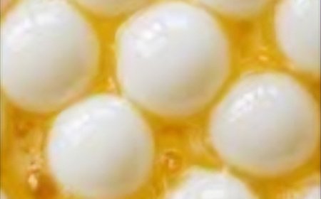 Sweet Coconut Tapioca Dessert