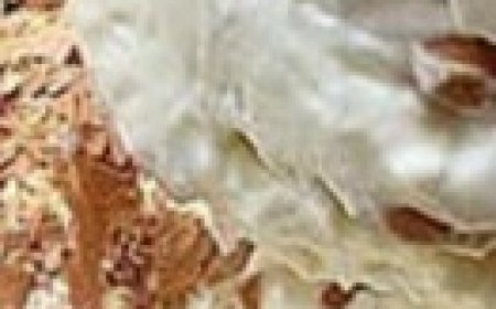 Creamy Dessert That Melts in Your Mouth: Delicious Homemade Recipe-Quick, Easy, and Flourless