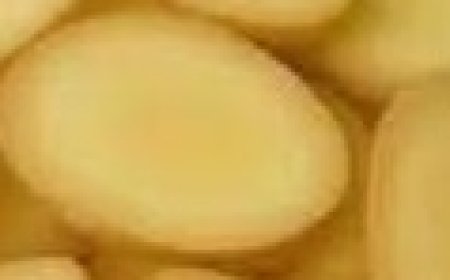 Beets and Ginger Keep Me Healthy