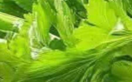 Cleanses the Liver 150 Times More Powerful Than Garlic and Lemon: Grandma’s Miracle Recipe