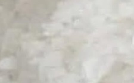 A Single Ingredient to Combat Bone Pain, Diabetes, Anxiety, Depression, and Constipation!