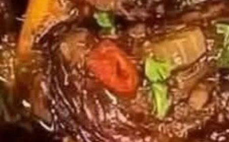 Savory Braised Oxtails with Herb-Infused Sauce