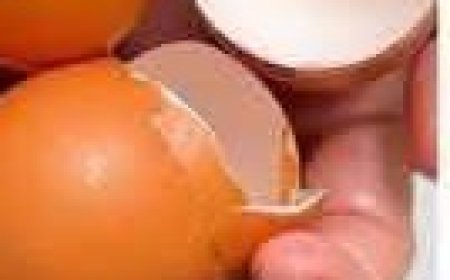 Transform Your Smile: Naturally Whiten Teeth and Remove Tartar with Eggshells!