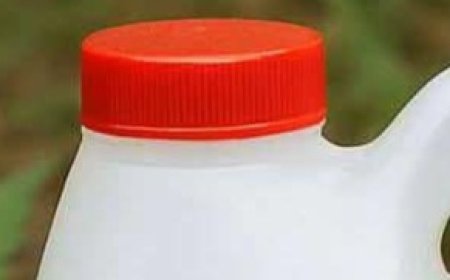 A Time-Tested DIY Solution for a Chemical-Free Garden