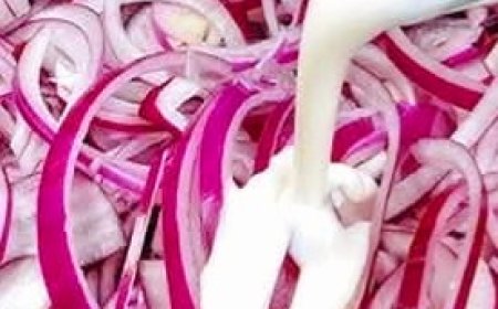 Onion Milk: Ancient Elixir That Heals From Within