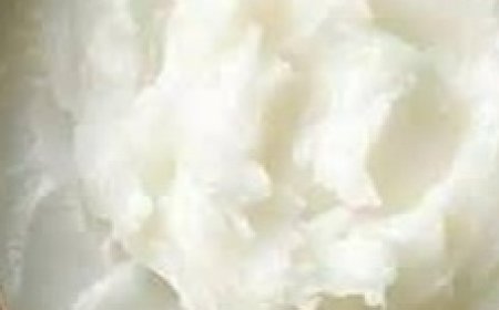 Foods to Rebuild Knee Cartilage: This Is What You Should Eat!