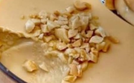 No-Bake 3-Ingredient Milk Pudding Dessert!