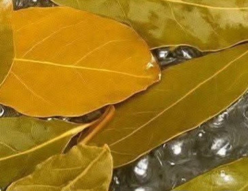 Banish Flies, Mosquitoes, and Cockroaches with These Simple Natural Remedies